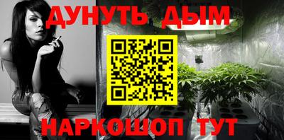 apvp Кунгур