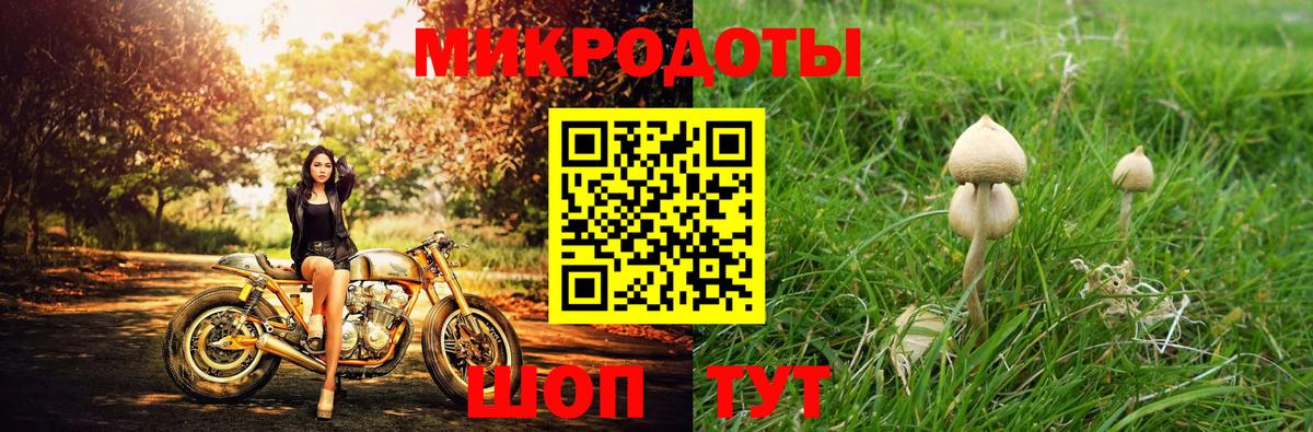 Галлюциногенные грибы мицелий Электросталь