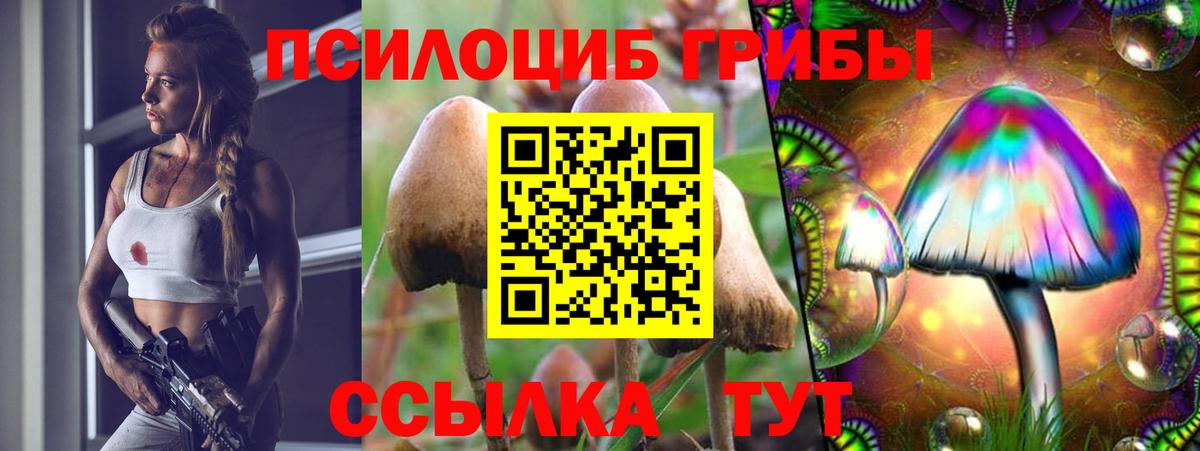 Электросталь  Псилоцибиновые грибы мухоморы  Вход с VPN  Галлюциногенные грибы мухоморы 